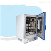 电子材料烘箱DHG-9036A立式鼓风干燥箱