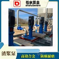 TL（R）型脱硫泵  浆液循环泵