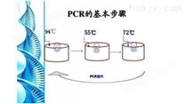 转基因植物35S基因PCR检测试剂盒图片