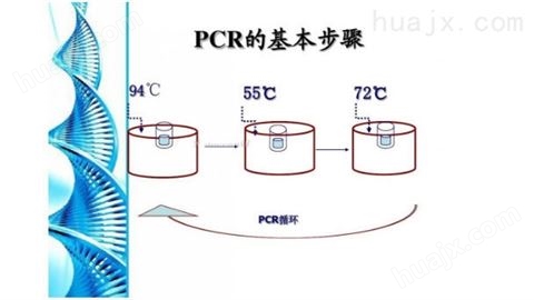 人科研通用PCR检测试剂盒图片