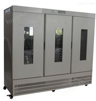 LRH-1500A大型生化培养箱 育种恒温试验箱