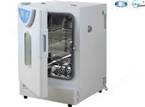 BPG-9040A多段程序鼓风干燥箱 恒温试验箱