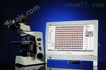 MCN杭州迅数红细胞微核计数器