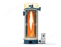 YQL燃氣立式導熱油鍋爐