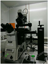 VIVOSCOPE突破性的头戴式双光子显微镜
