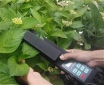 LAM-B活体叶面积仪 植物面积分析仪