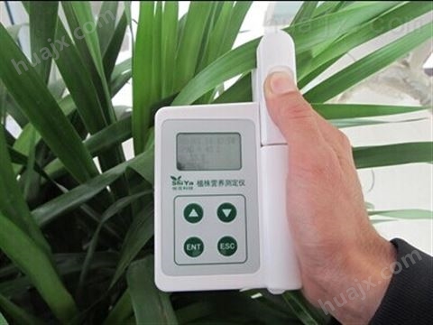 植物叶绿度检测仪SY-S02叶绿素测定仪