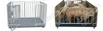 防水围栏宠物动物秤，防腐防水动物电子称