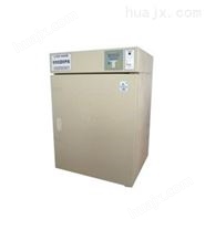 电热恒温培养箱-DNP-9082
