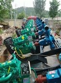 CYJ-200排涝灌溉抗洪应急柴油机水泵